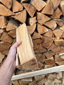 Palivo palivové drevo krbove buk - 9