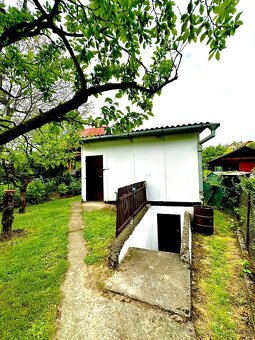Záhradka Skalica, Koziny - 9