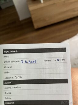 Predám zajaca+klietku - 9