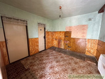 Vidiecky domček s dušou v kúpeľnom meste Nesvady - 9