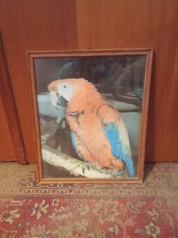 Predám rôzne obrazy - 9