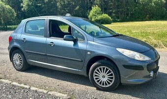 Peugeot 307 - 9