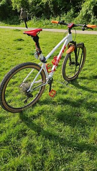 TREK XCALIBER 8 - 9