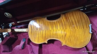 PROFESIONALNE HUSLE - 9