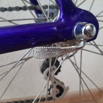 Omelka road | Campagnolo Veloce | 56 - 9