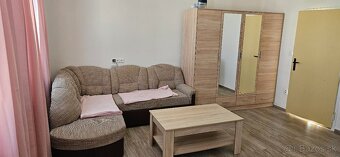 Prenájmem menší rodinný dom vo Viničnom s pekným pozemkom - 9
