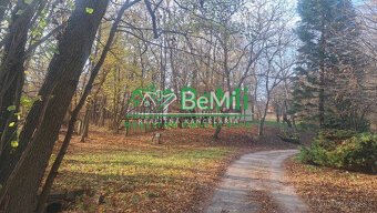 Znížená cena Dva Domy na samote v krásnej prírode Stará Turá - 9