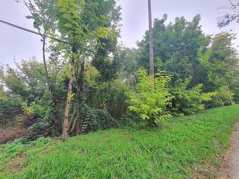Pozemok 728 m², Lontov okres Levice - 9