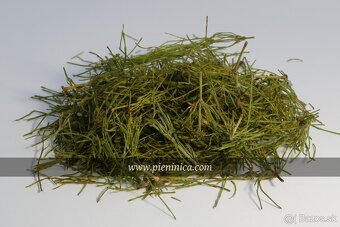 Pieninica sušené byliny 2025 - 9