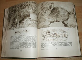 Poľovníctvo v obrazoch - 9