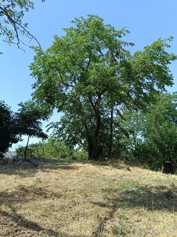 POZEMOK ĽUBÁ - 9