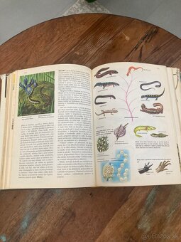 Svet živočíšnej ríše - 9