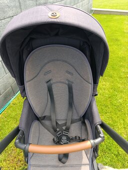 Roan bass next 2023 3v1 - 9