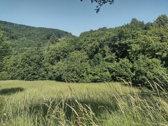 PREDAJ pozemky Drietoma, časť Branné, 8045m2 - 9