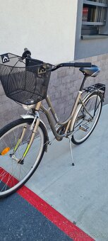 Kenzel 28" - 9