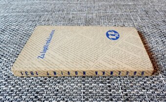 Za lepší reklamou - starožitná kniha z roku 1931, top stav - 9