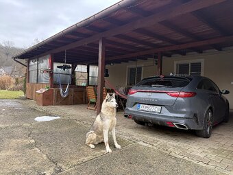 Bungalov v obci Závada - 9