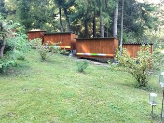 Predam domec pre 5 ulov - 9