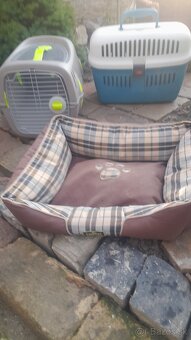 Škrabadlo, ležadlo, prepravný box - 9