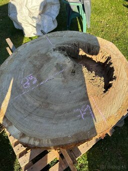 Vysušené dubové koláče / priečne rezy, dub - 9