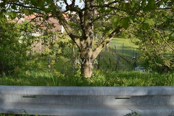 TOP NA PREDAJ: zaujímavý pozemok 740m2 - Smolenice - 9