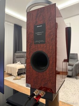 Dynaudio Confidence C1 Platinum - 9