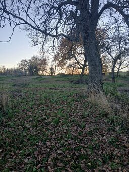 Predaj rodinný dom s veľkým pozemkom a zahradou - 9