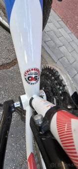 Horský bicykel DEMA 24 - 9