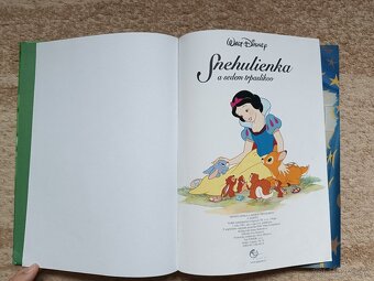 Snehulienka - 9