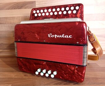 Akordeon, harmonika, heligonka - 9