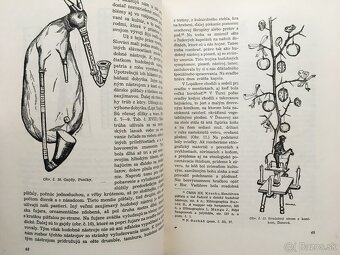 Čičmany, Bednárik Slovenská vlastiveda II, Spiritizmus - 9