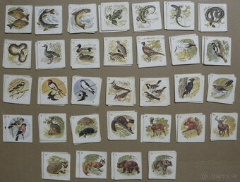 Staršie aj novšie hracie karty a pexesá - 9