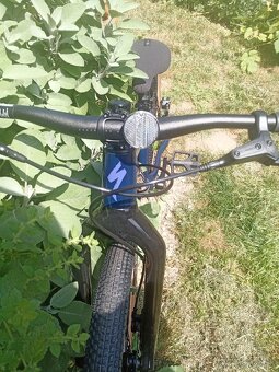 SPECIALIZED P.1 GLOSS deep 20" - 9
