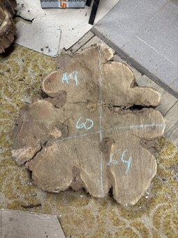 Vysušené agátové koláče / priečne rezy, agát - 9