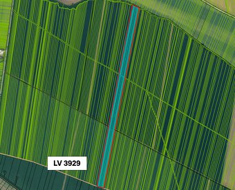 Vráble – 4.859 m2 ORNÁ pôda - PREDAJ - 9