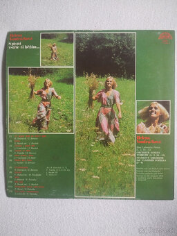 LP a singel vinylové platne - rôzne - 9