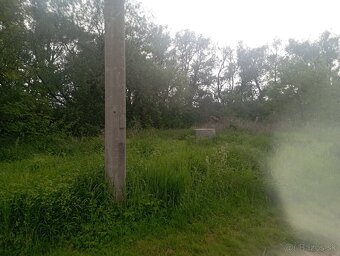 Záhrada v Nižnej Hutke 1166 m2 - 9
