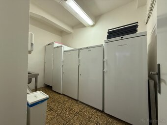 PREDAJ CUKRÁRSKEJ VÝROBY v centre Nitry - 9