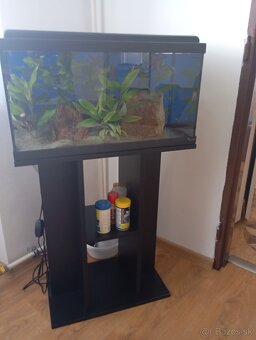 Akvarium 65l zabehnuté. - 9