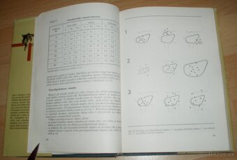 Lovecká střelba - 9