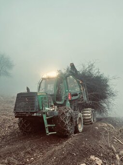 Ťažba dreva a kúpa porastov na pni - 9