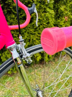 F.Moser Team SLX - 9
