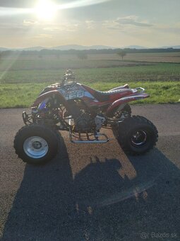 Yamaha raptor 660 customs - 9