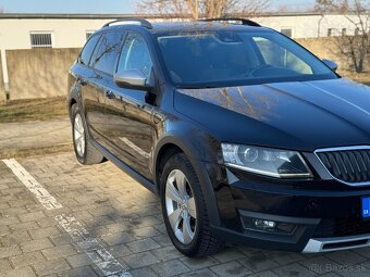 Octavia Scaut - 9