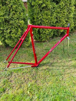Colnago Esa Mexico Sarroni red - 9