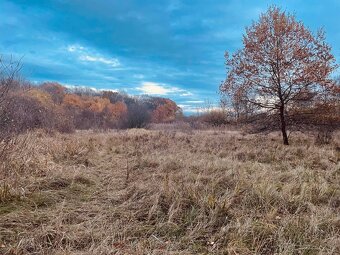 Pozemok - Lúka, Malé Leváre, 26 385 m² - 9