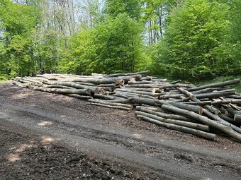 Palivové drevo  Doprava ZADARMO do 20km - 9