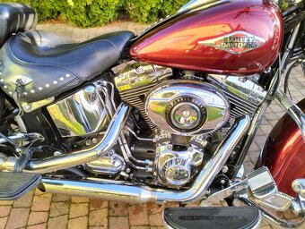 Harley Davidson Heritage Softail - 9