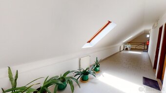 PINK Reality Miesto pre Vaše úspešné podnikanie - 9