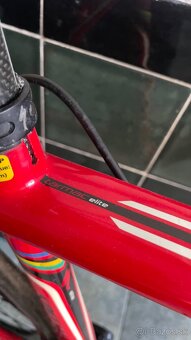 Specialized Tarmac Fullcarbon 54” - 9